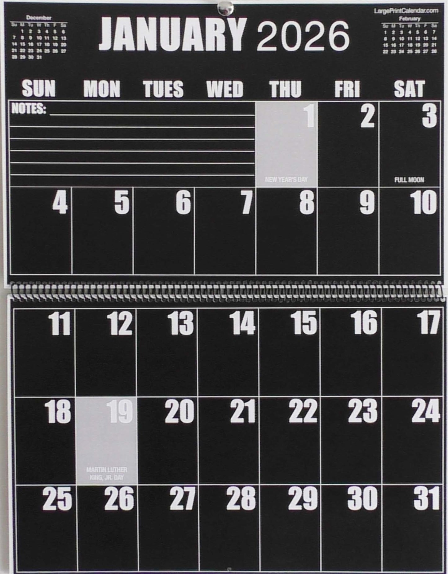 Sight Line Wall Calendar | 19-months, June 2025 to December 2026 | Jumbo Large Print | Heavy Paper | 17" wide X 22" in length when open