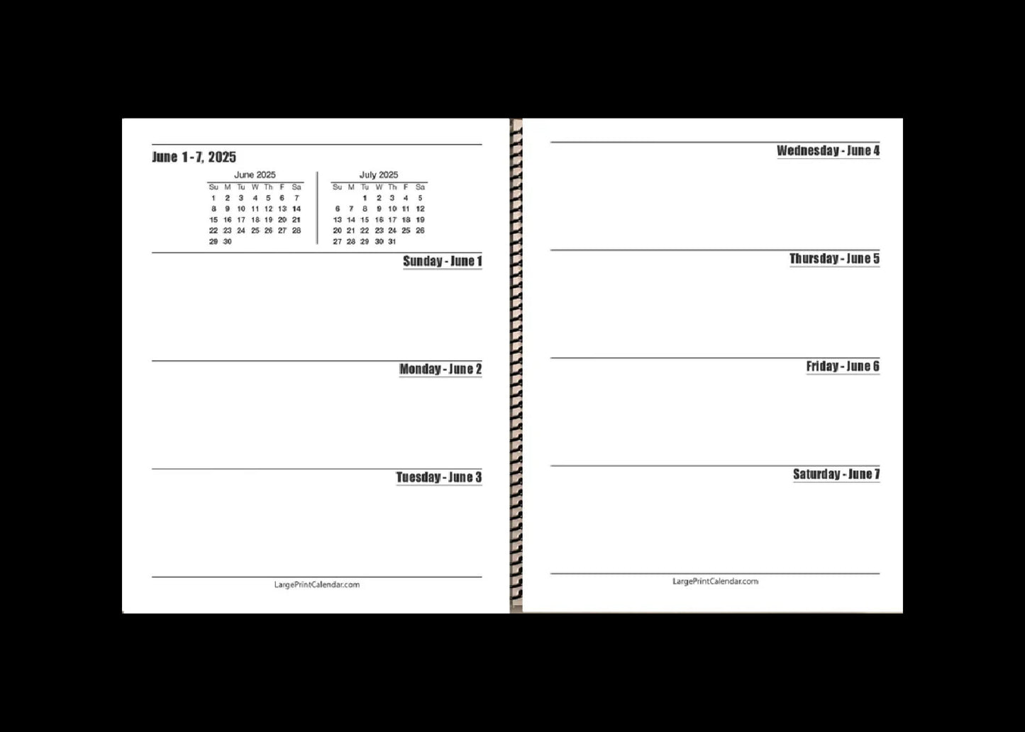 Jumbo Large Print Weekly Planner 2025 | Heavy Weight Paper, | 17" x 11" hanging - 11" x 8.5" closed |  13-months, January 2025 to January 2026